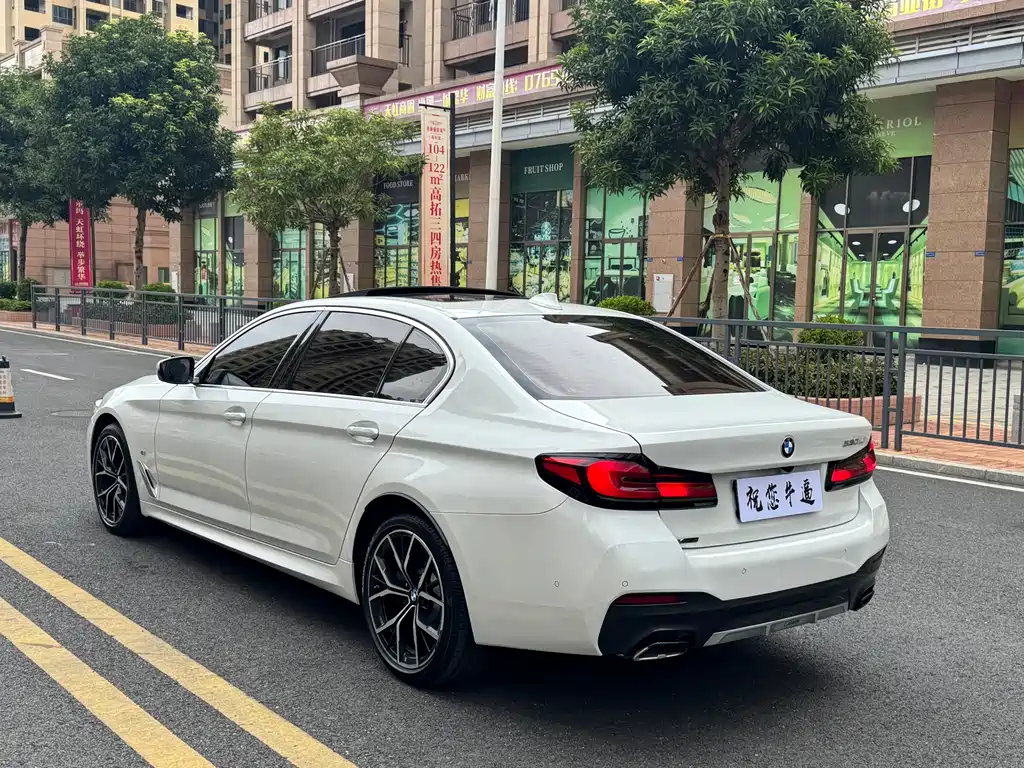 BMW 5 SERIES