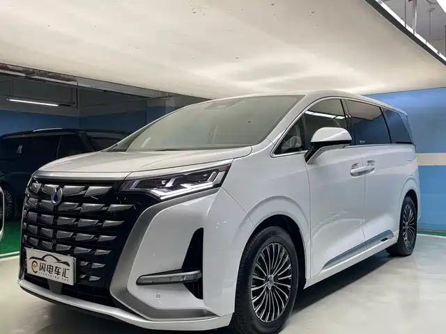 2023 Denza D9