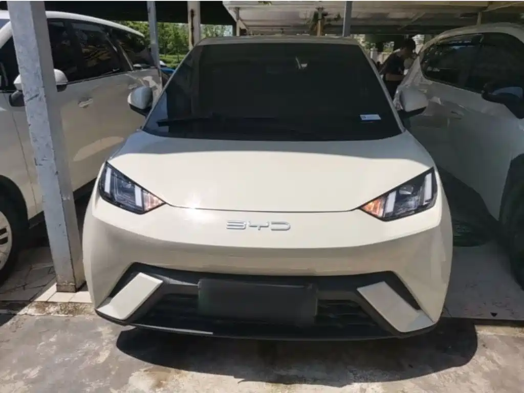 BYD Seagull 2023 Flying