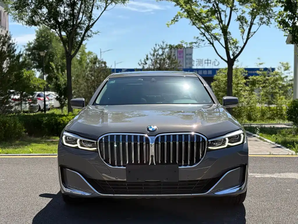 BMW 7 Series 7 2019 730Li Luxury