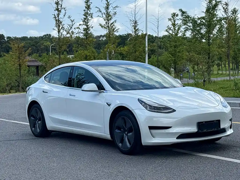 Tesla Model 3 — миниатюра 3