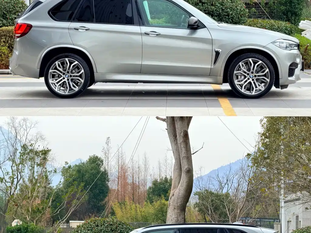 BMW X5 M X5 M, фото 58