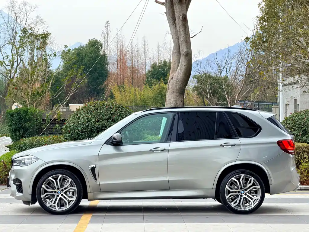 BMW X5 M X5 M, фото 38