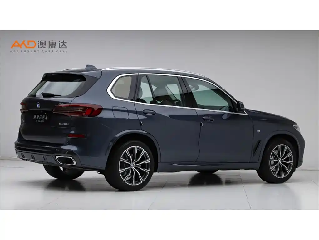 BMW X5 2021 xDrive30i M Sport