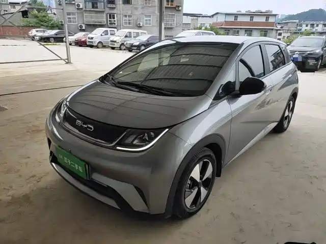 2023 BYD Dolphin