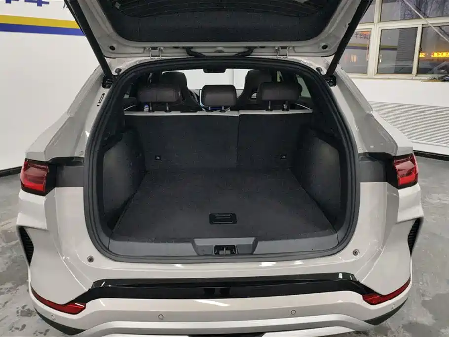 BYD SONGJIANG NEW ENERGY