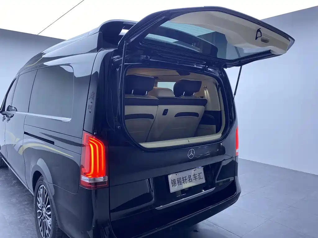 Mercedes-Benz V-Class V 2018 V 260 L Luxury Long Wheelbase VI
