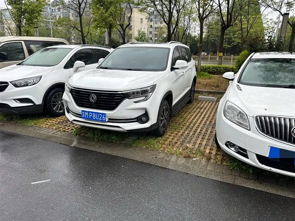 Fengxing Fengxing T5 2019