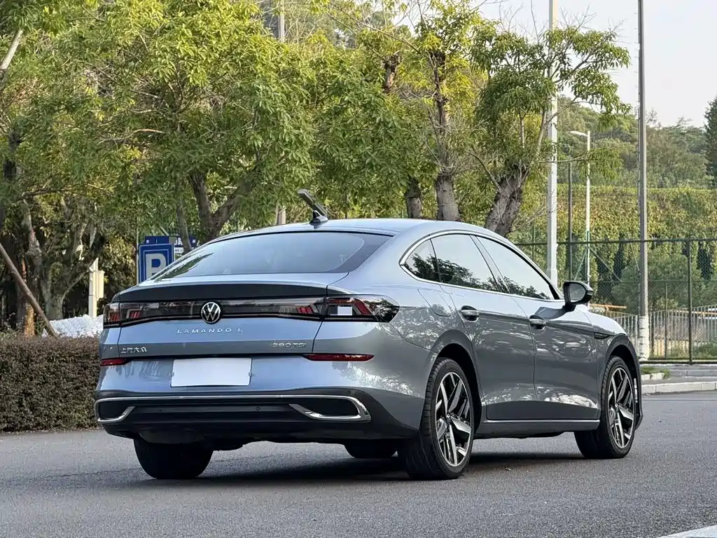 Volkswagen Lamando — миниатюра 6
