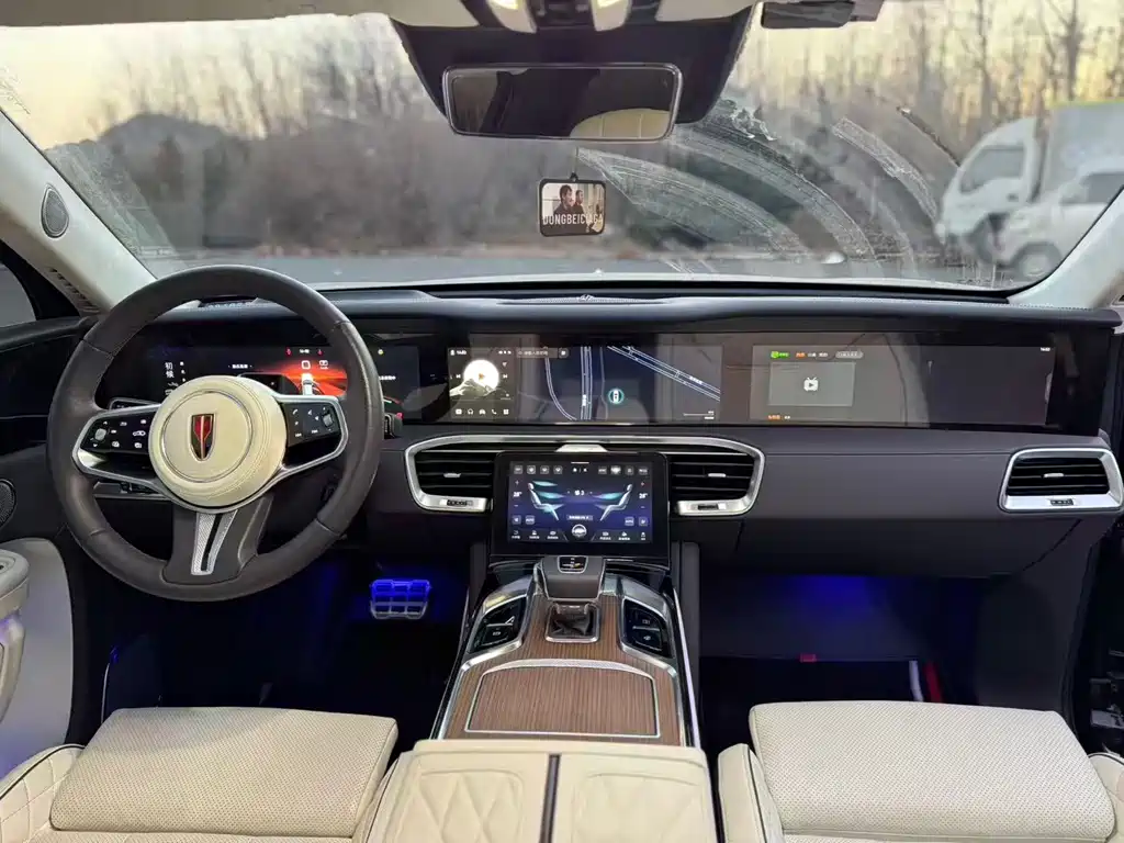 Hongqi HONGQI E HS9