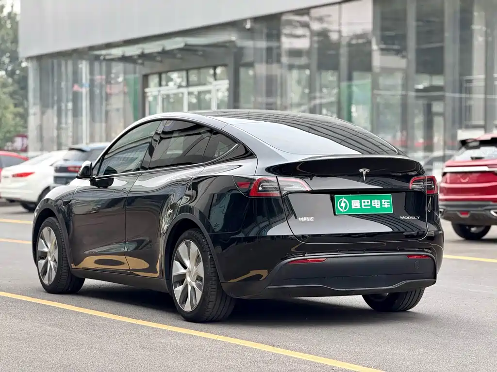 Tesla Model Y — миниатюра 7