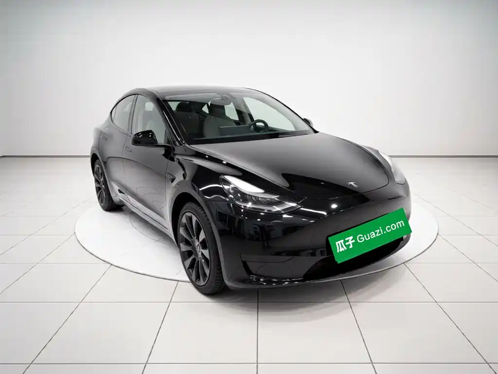 Tesla Model Y — миниатюра 3