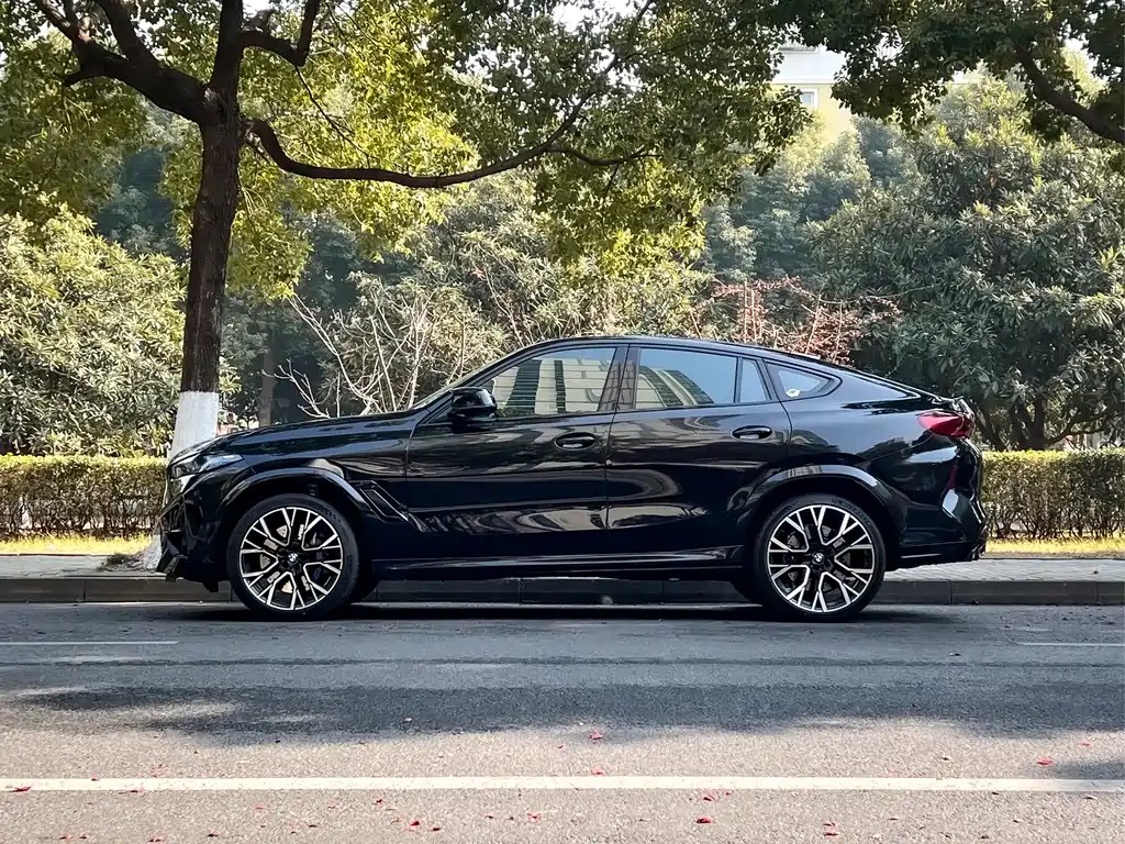 BMW X6 M