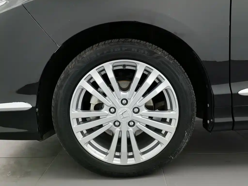 Honda Elysion — миниатюра 17