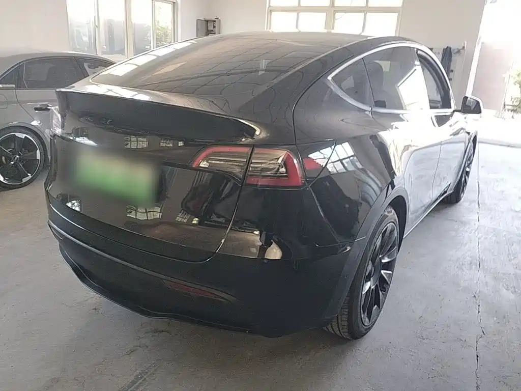 Tesla Model Y — миниатюра 7