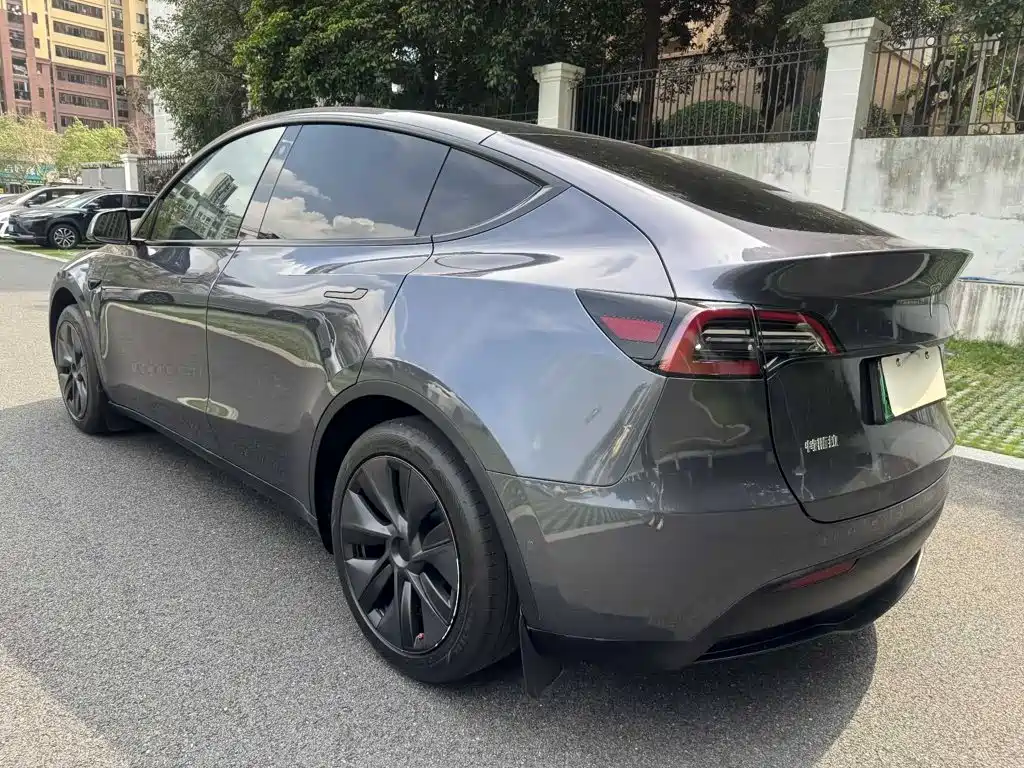 Tesla Model Y — миниатюра 7