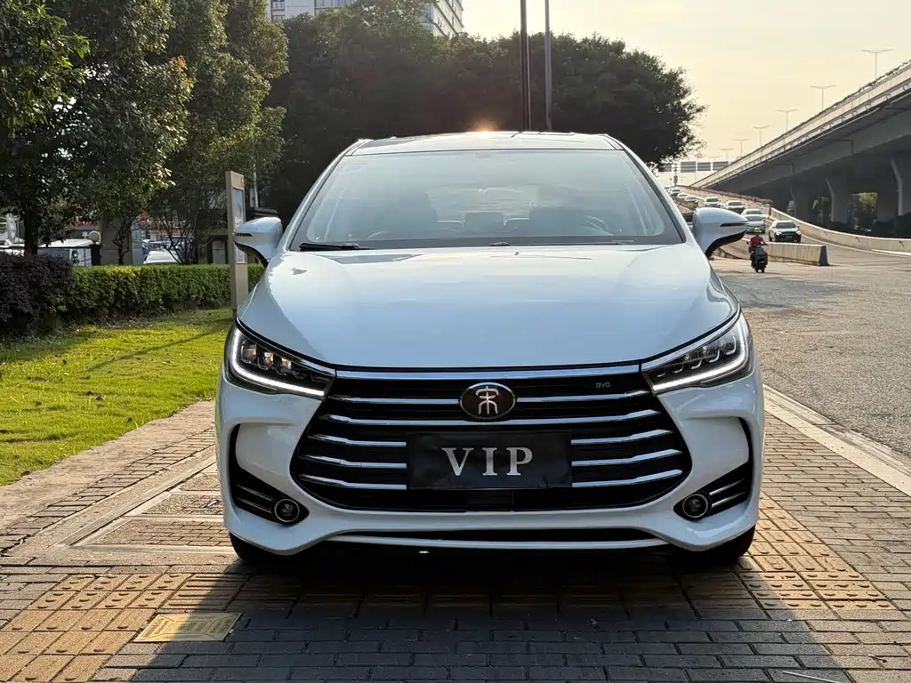 BYD Song MAX MAX 2019 1.5T MT 7 мест VI
