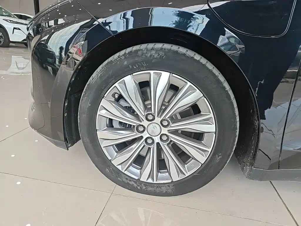 Hongqi E-QM5 2023 — фото 22