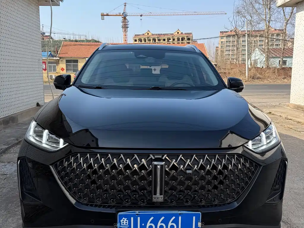 WEI PAI MACCHIATO DHT