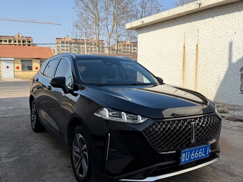 WEI PAI MACCHIATO DHT