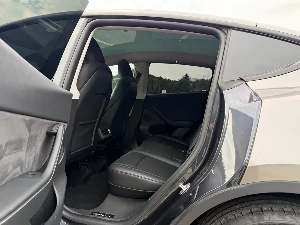 Tesla Model Y — миниатюра 16