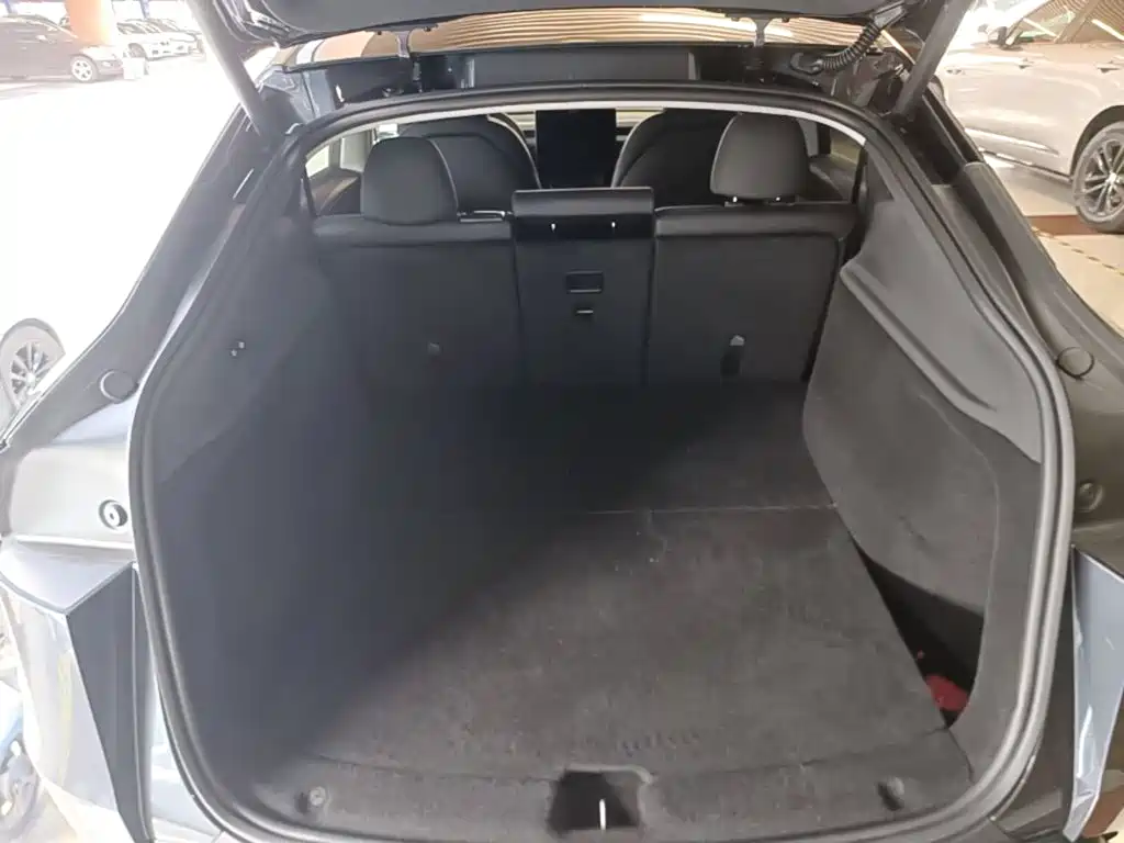 Tesla Model Y — миниатюра 19