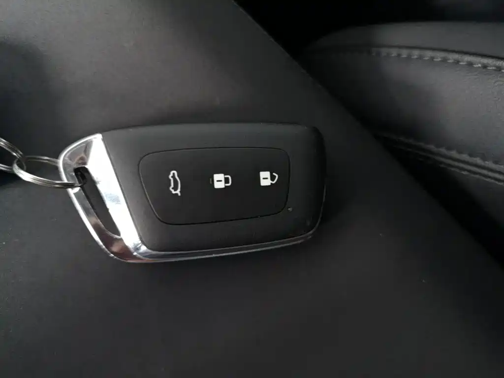 Baojun Valli — миниатюра 9