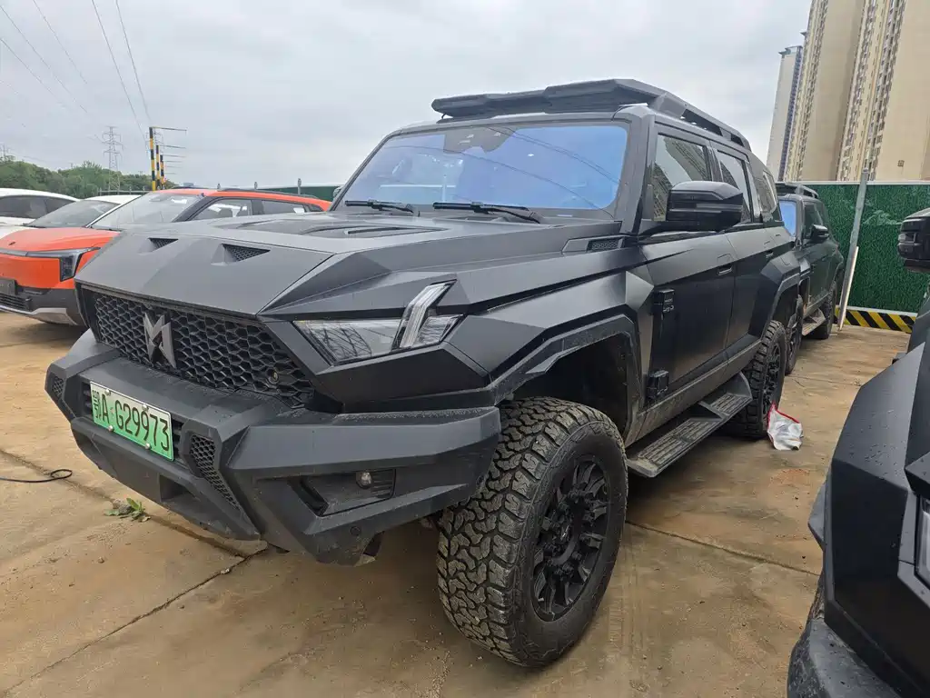 Mengshi Mengshi 917 2024