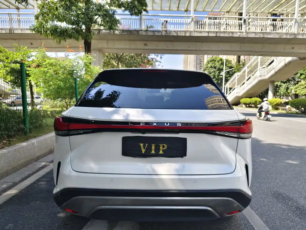 Lexus RX New Energy 450h+ 4WD Enjoy Edition, фото 6