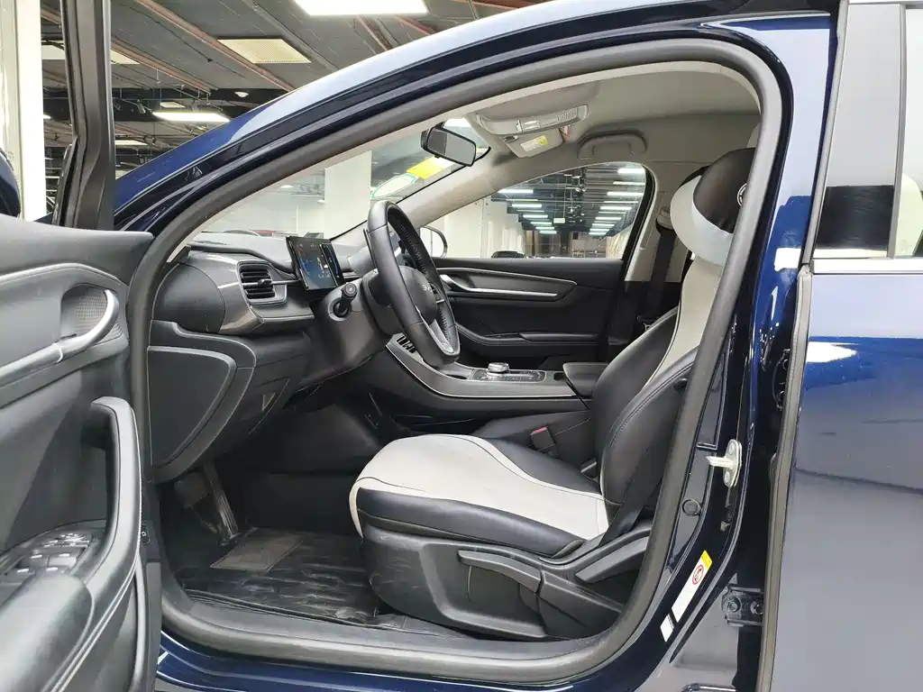BYD Destroyer 05 2024 DM-i 55KM Luxury