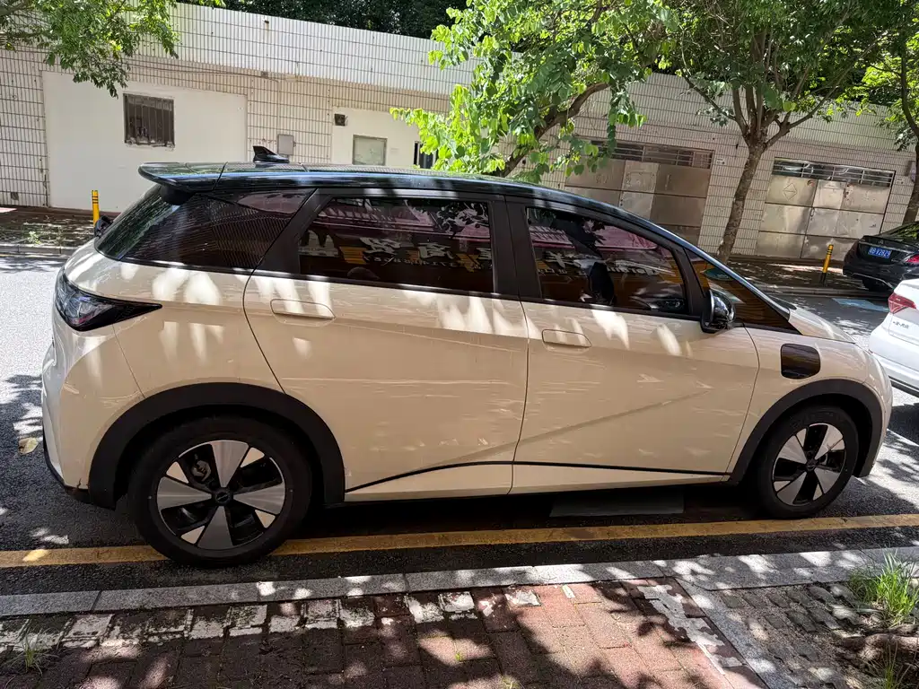 BYD Dolphin 2024 420km Fashion