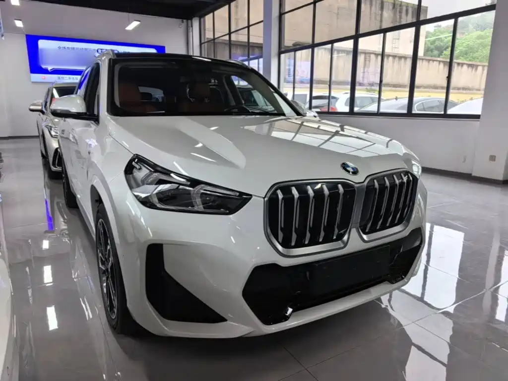 BMW X1 — миниатюра 4