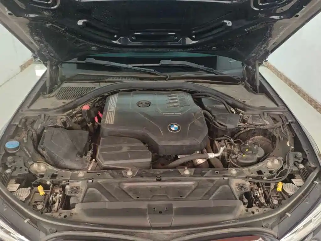 BMW 3 Series 3 2022 320Li M Sport