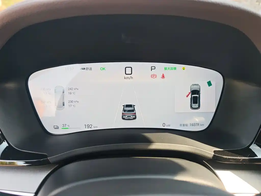 BYD PLUS New Energy — миниатюра 12