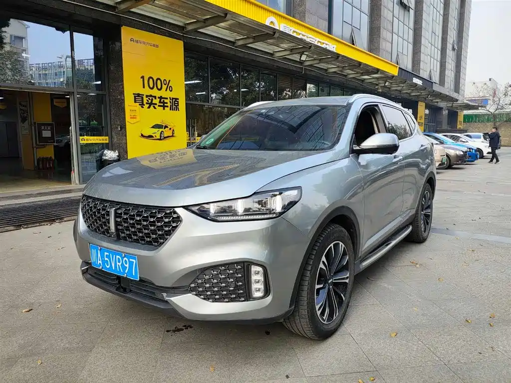 WEI PAI WEI BRAND VV6