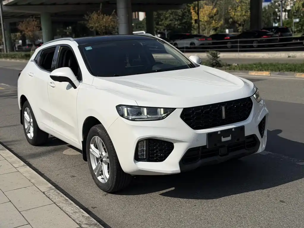 WEI PAI WEI BRAND VV5