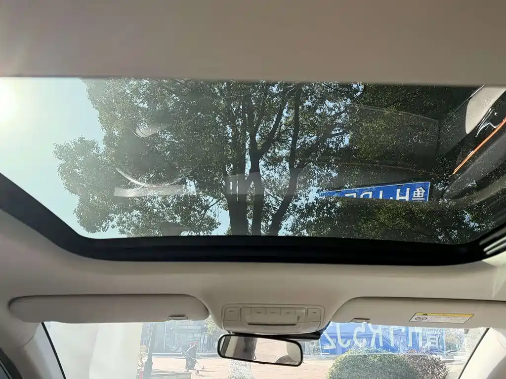 DONGFENG YI HYUN MAX