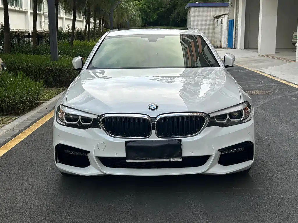 BMW 5 Series 5 2019 525Li M Sport