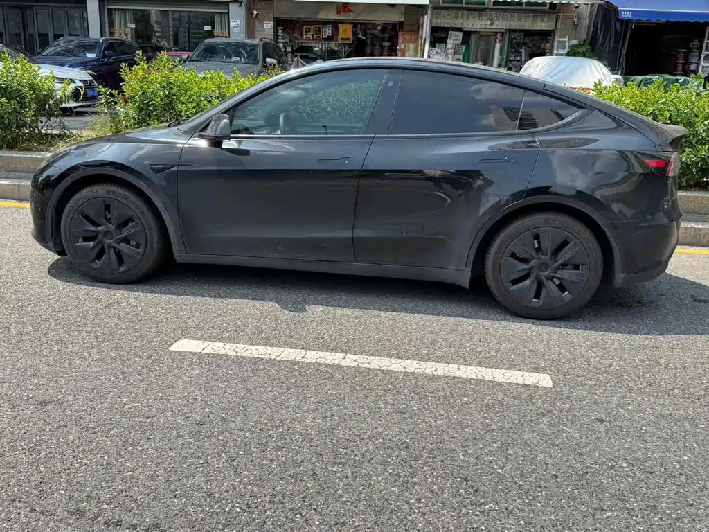 Tesla Model Y — миниатюра 3