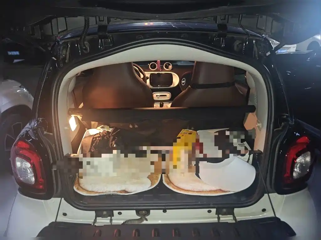 smart Smart Fortwo — миниатюра 20