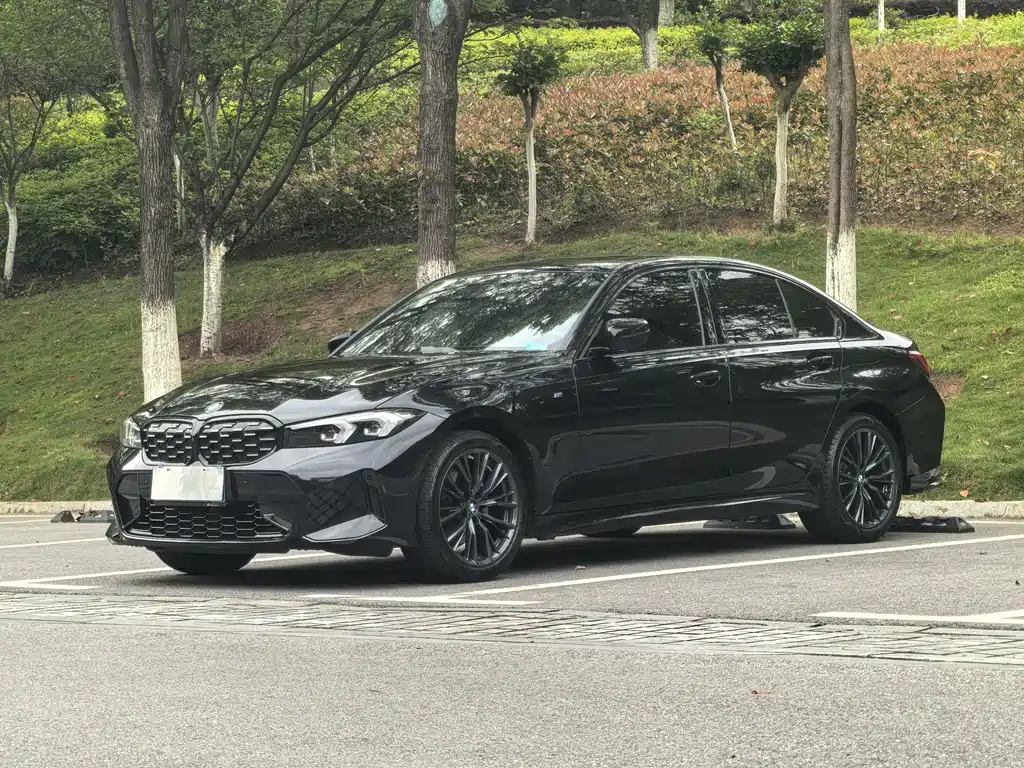 Купить BMW 3 Series