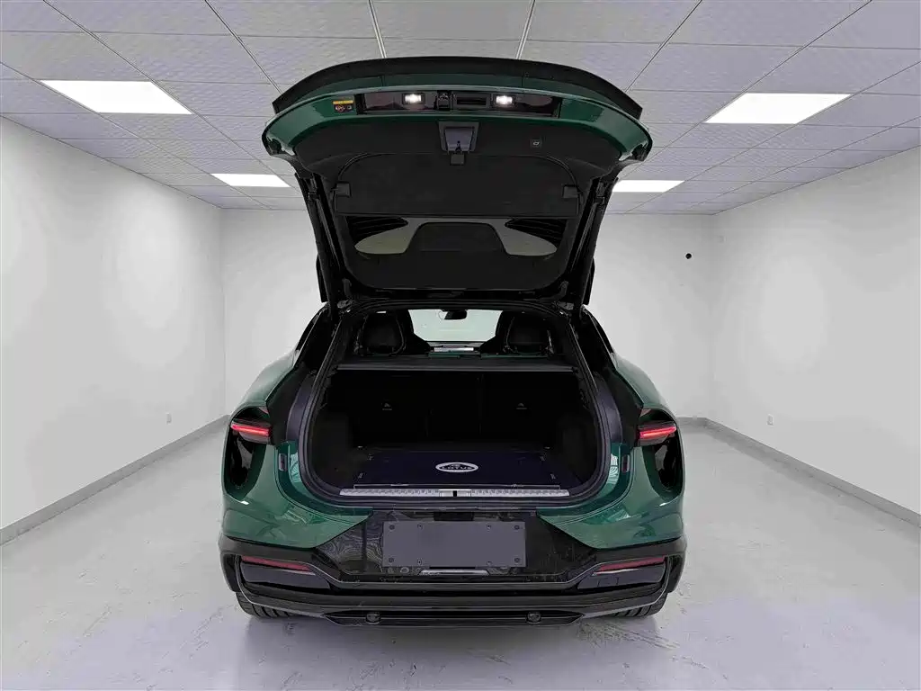 Lotus Eletre — миниатюра 15