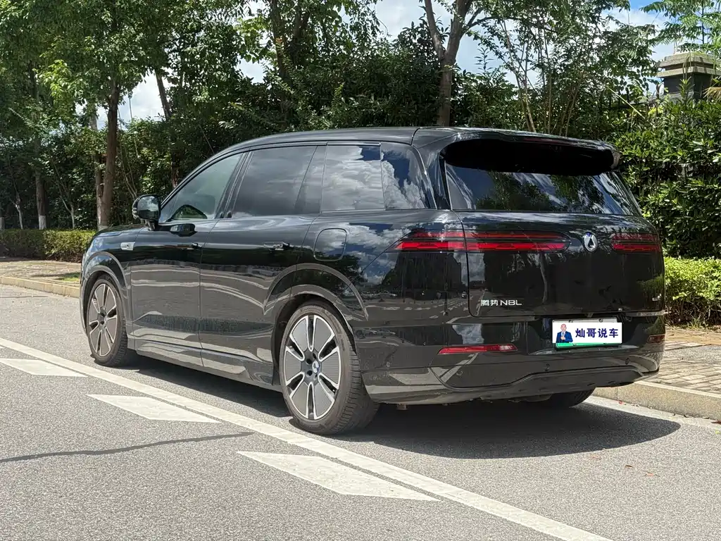 Denza Zoom N8L — миниатюра 14