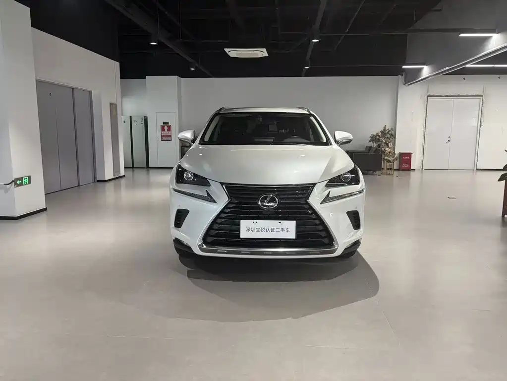 Lexus NX 2018 200 V