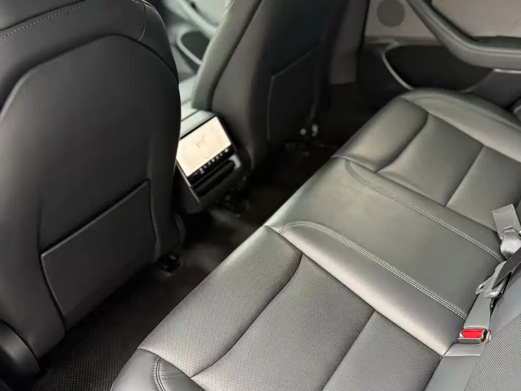 Tesla Model 3 — миниатюра 5