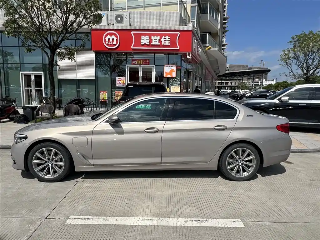 BMW 5 Series 5 2019 530Le Luxury