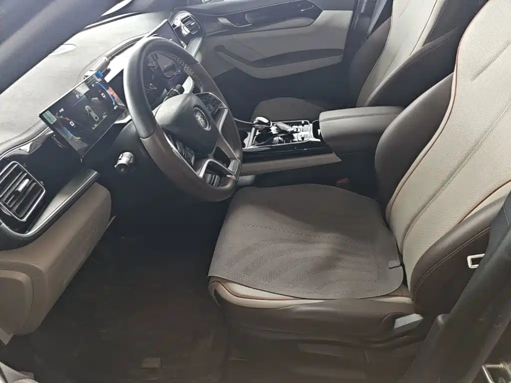 BYD Qin PLUS — миниатюра 15