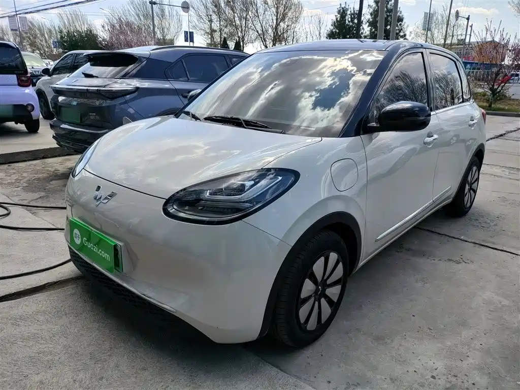 Wuling Bingo 2024