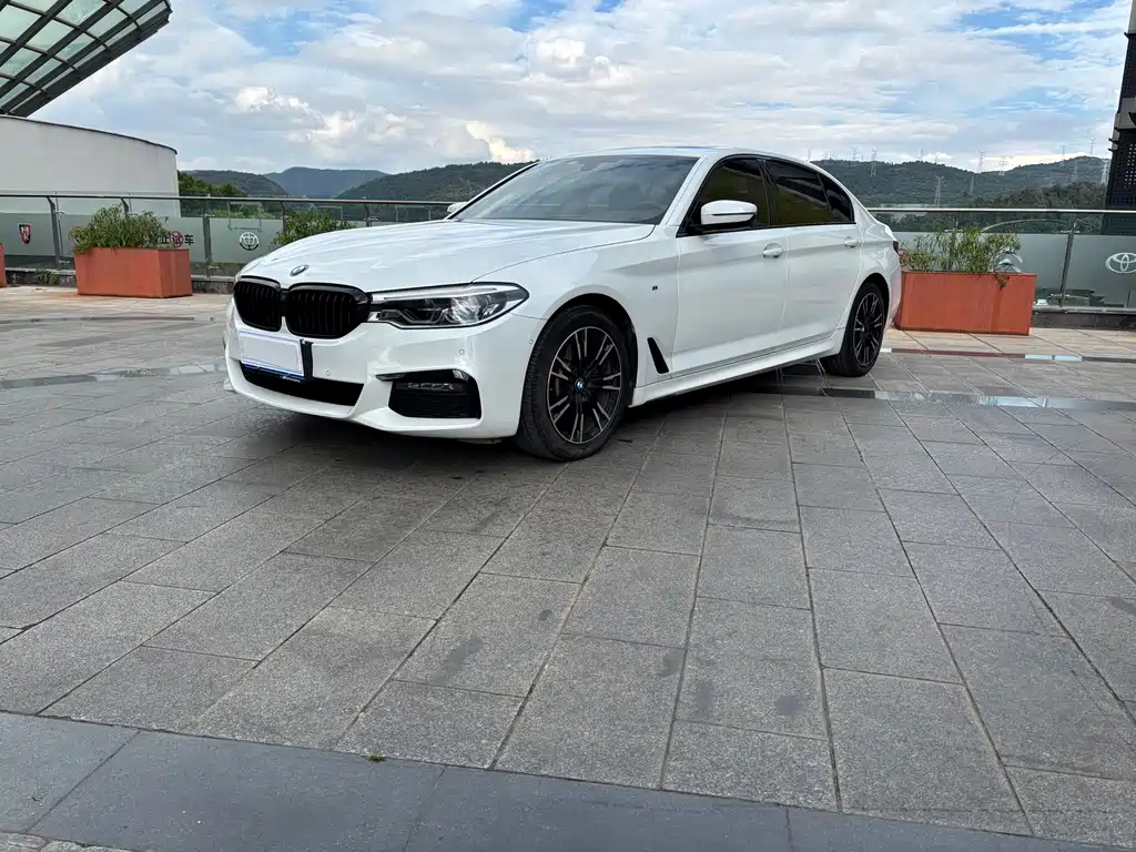 BMW 5 Series — миниатюра 3