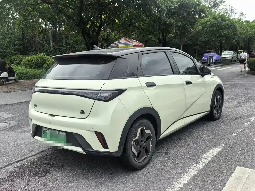 BYD Dolphin 2021 405km Fashion